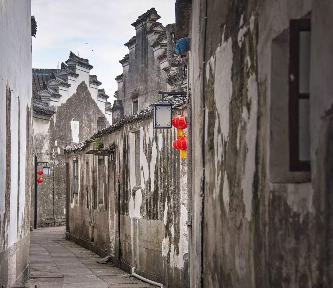《幻兽帕鲁》企丸王位置介绍